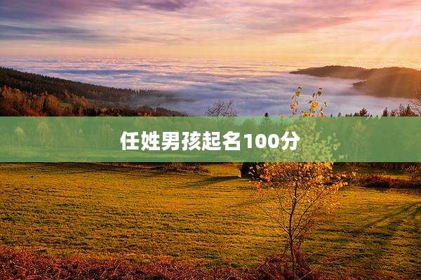 任姓男孩起名100分