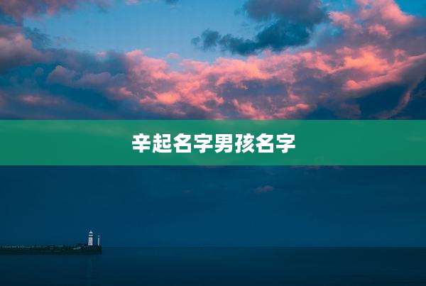 辛起名字男孩名字