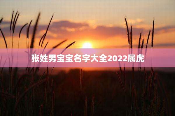 张姓男宝宝名字大全2022属虎