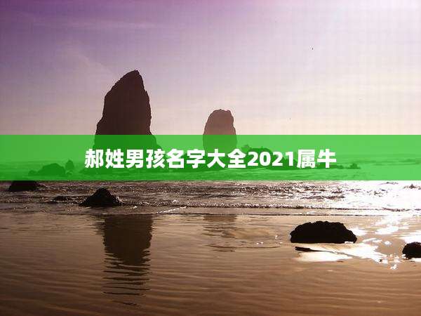 郝姓男孩名字大全2021属牛