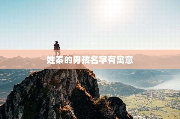 姓秦的男孩名字有寓意