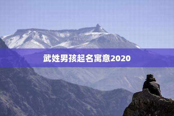 武姓男孩起名寓意2020
