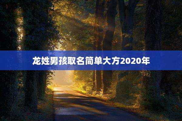 龙姓男孩取名简单大方2020年