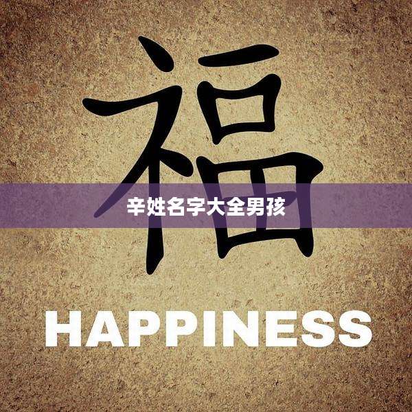 辛姓名字大全男孩