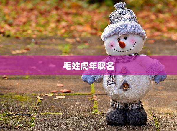 毛姓虎年取名