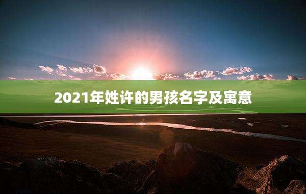 2021年姓许的男孩名字及寓意
