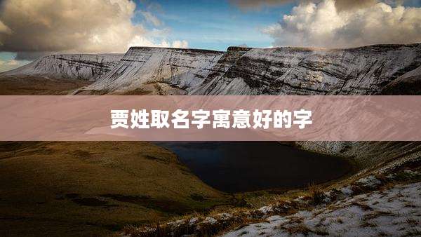 贾姓取名字寓意好的字