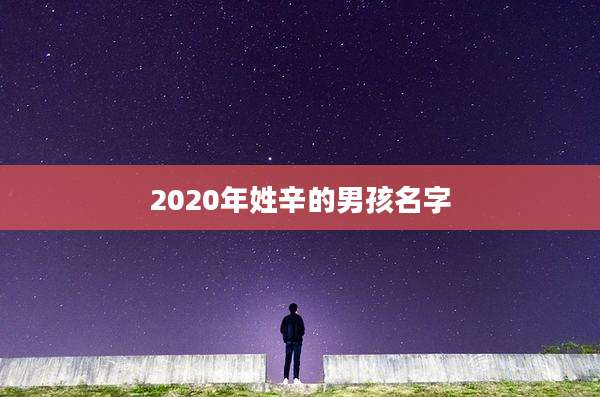 2020年姓辛的男孩名字