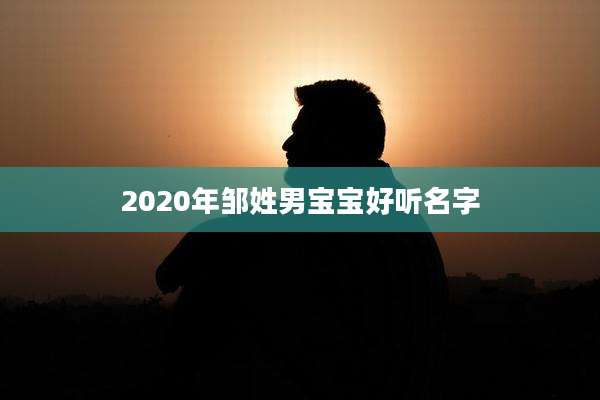 2020年邹姓男宝宝好听名字