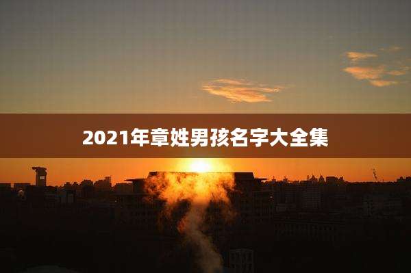 2021年章姓男孩名字大全集