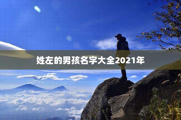 姓左的男孩名字大全2021年