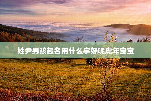 姓尹男孩起名用什么字好呢虎年宝宝