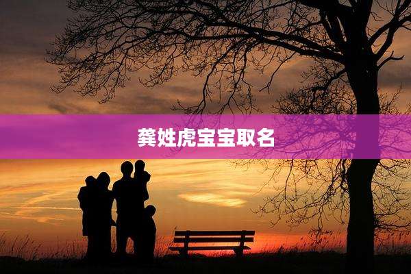 龚姓虎宝宝取名