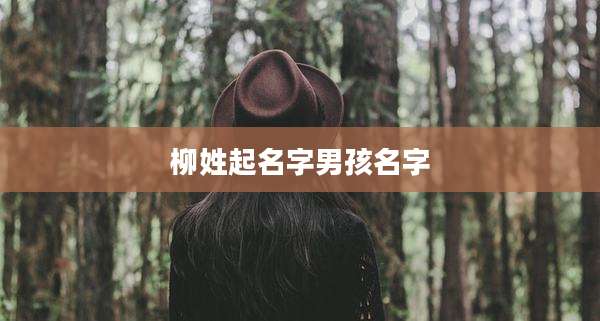 柳姓起名字男孩名字