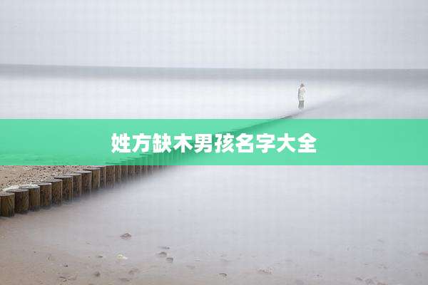 姓方缺木男孩名字大全