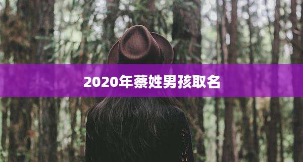 2020年蔡姓男孩取名