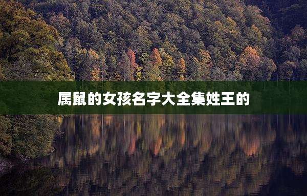 属鼠的女孩名字大全集姓王的