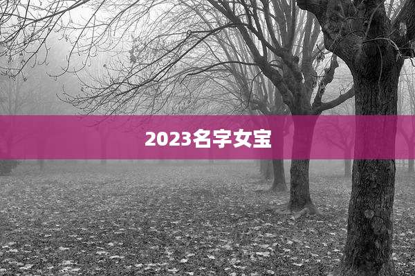 2023名字女宝