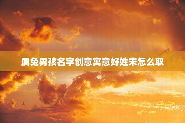 属兔男孩名字创意寓意好姓宋怎么取