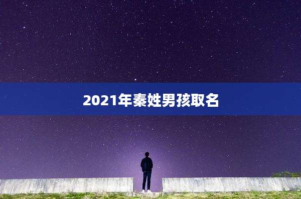 2021年秦姓男孩取名