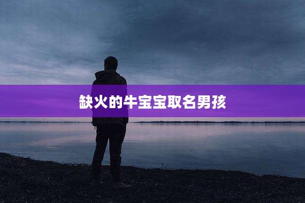 缺火的牛宝宝取名男孩