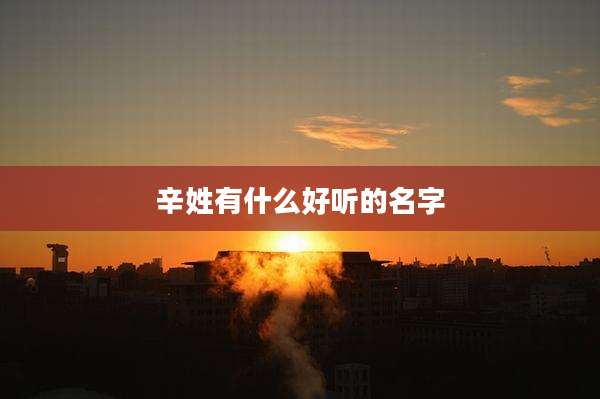 辛姓有什么好听的名字