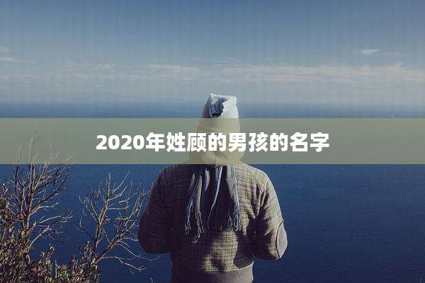 2020年姓顾的男孩的名字