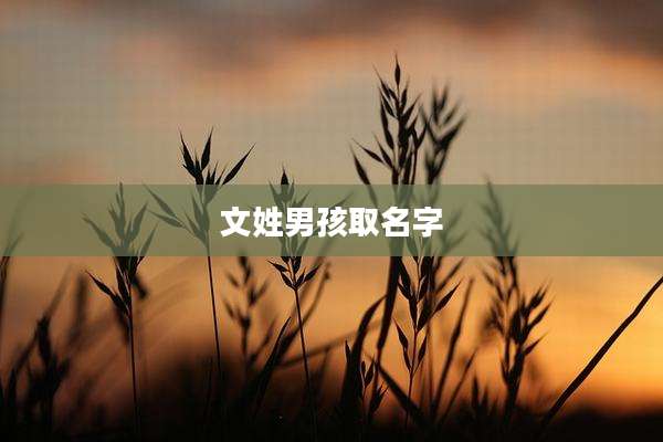 文姓男孩取名字
