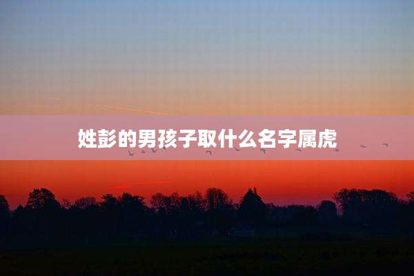 姓彭的男孩子取什么名字属虎