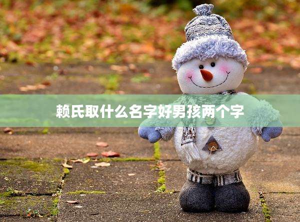 赖氏取什么名字好男孩两个字