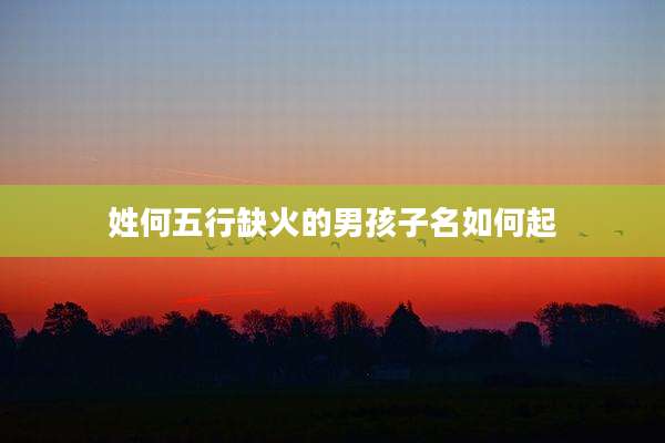 姓何五行缺火的男孩子名如何起