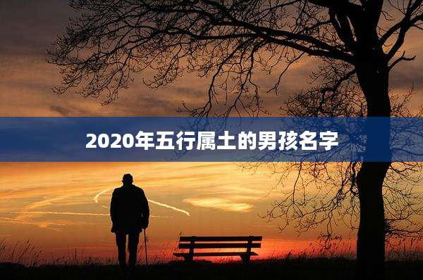 2020年五行属土的男孩名字