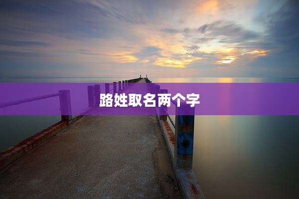 路姓取名两个字