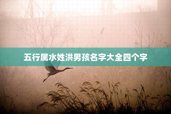 五行属水姓洪男孩名字大全四个字