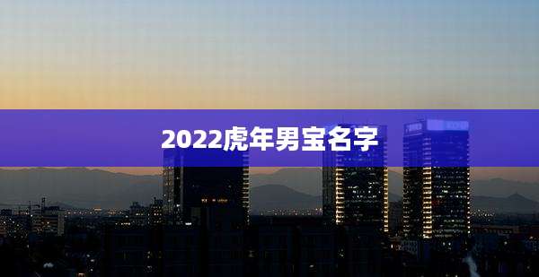 2022虎年男宝名字