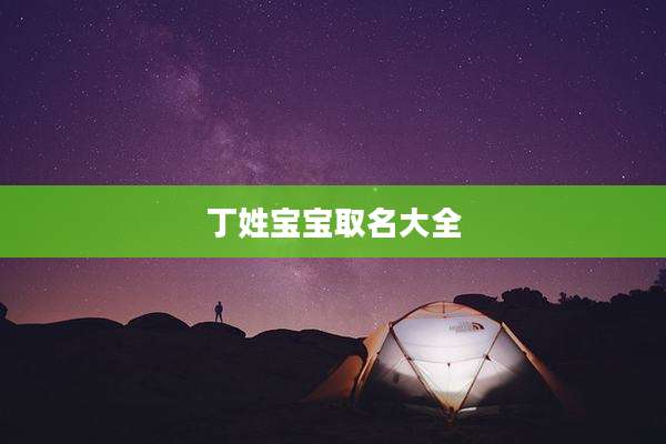 丁姓宝宝取名大全