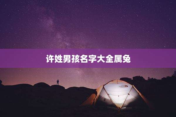 许姓男孩名字大全属兔