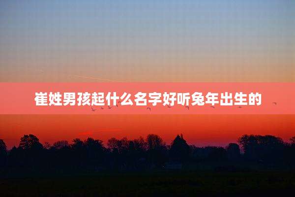 崔姓男孩起什么名字好听兔年出生的