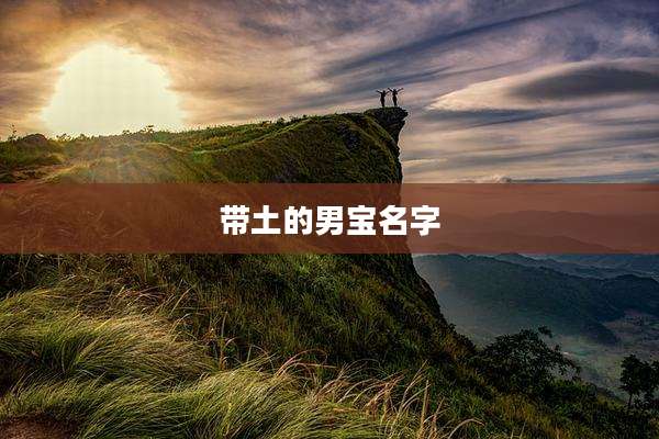 带土的男宝名字