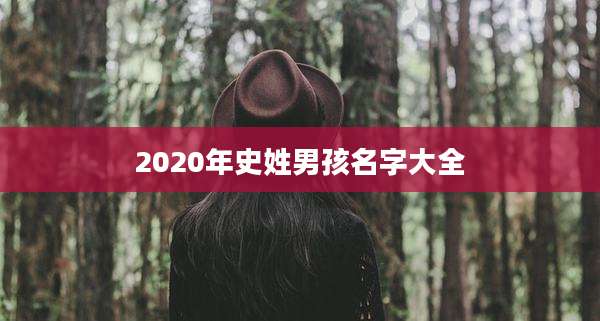 2020年史姓男孩名字大全