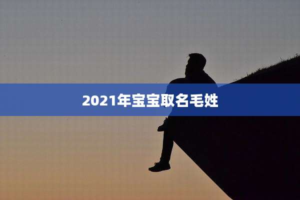 2021年宝宝取名毛姓