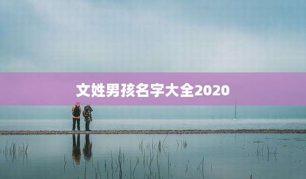 文姓男孩名字大全2020