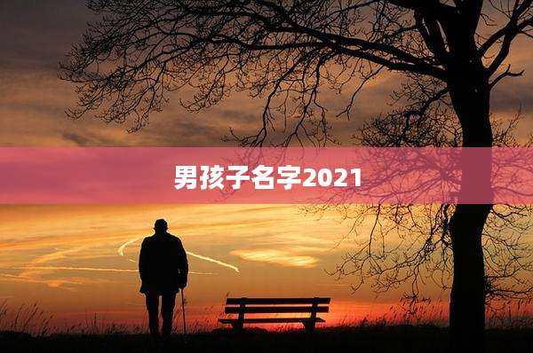 男孩子名字2021
