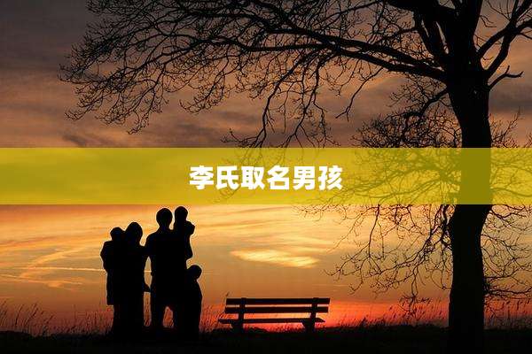 李氏取名男孩