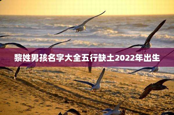 黎姓男孩名字大全五行缺土2022年出生