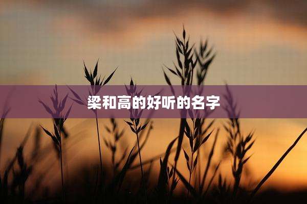 梁和高的好听的名字