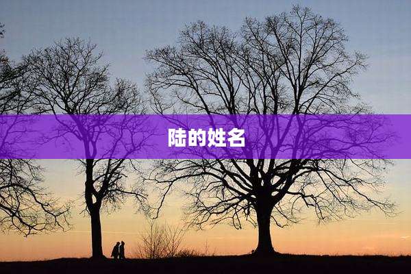 陆的姓名