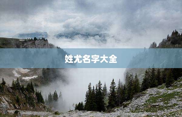 姓尤名字大全