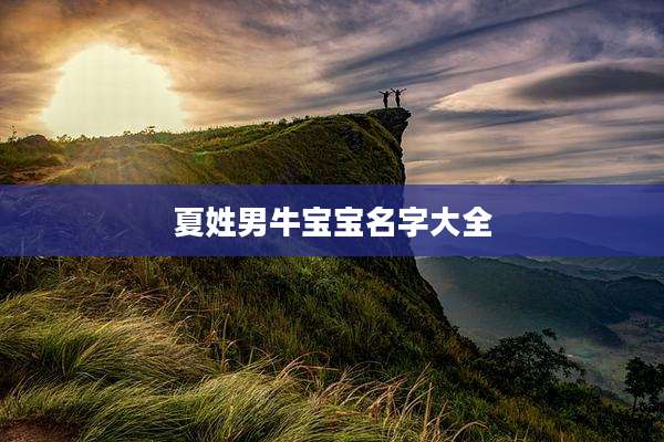 夏姓男牛宝宝名字大全