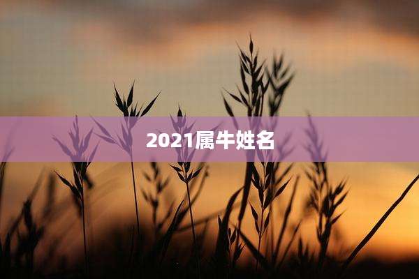 2021属牛姓名